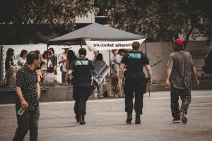 Defamation Law in Australia: Lessons from the Rebel Wilson Case