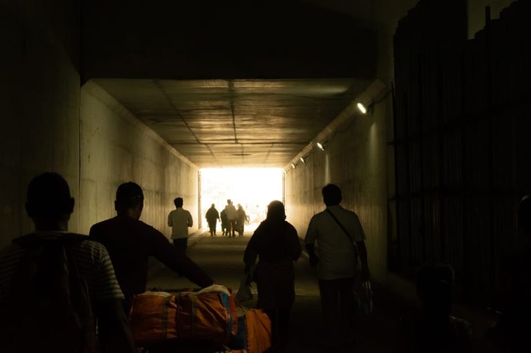 Understanding Australia’s Migrant Demographics: Beyond the Numbers