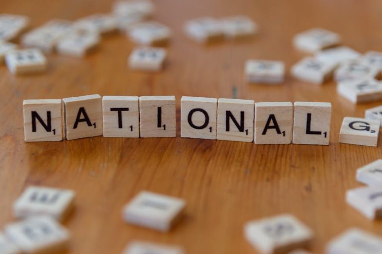 One Nation’s Growing Pains: Political Strategy and Electoral Challenges