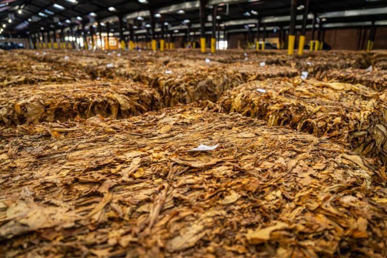Illicit Tobacco Seizures in NSW: Understanding the Financial and Legal Ramifications