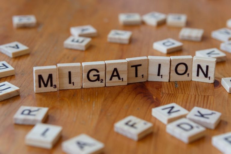 Resettling Children from Syria: Humanitarian Efforts and Australian Immigration Policies